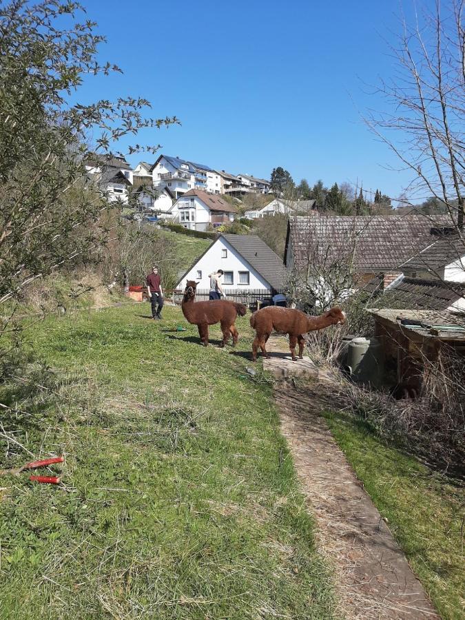 Ferienwohnung Traumblick - A33054 Morschen Экстерьер фото